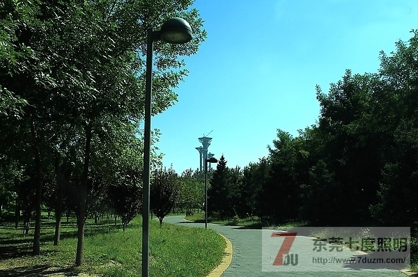城市森林公園道路、步道照明設計原則